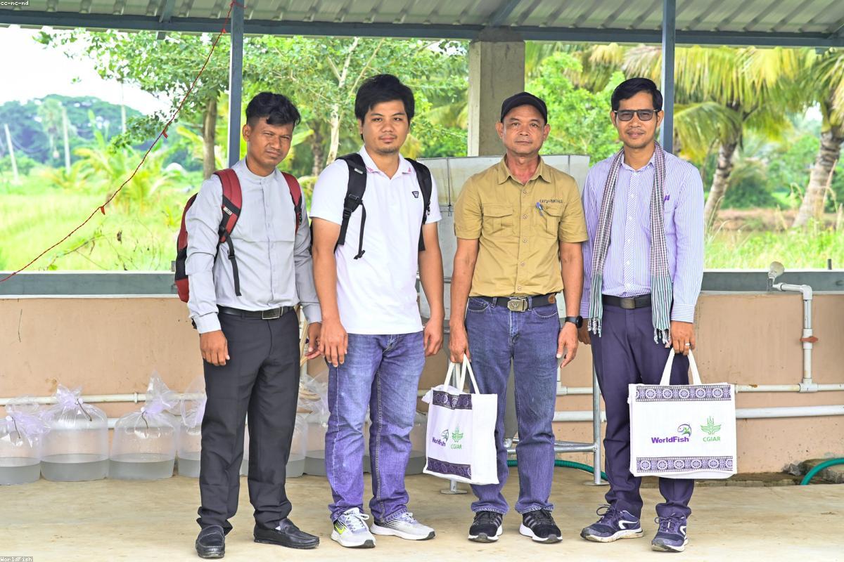 Everyday bags